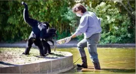  ?? (Photo doc C. T.) ?? Valérie Mandier, la cheffe soigneuse du parc zoologique de Fréjus, a fait la demande d’aide d’urgence financière débloquée par l’État.