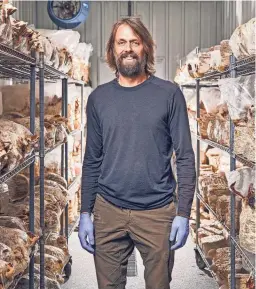  ?? PROVIDED BY JAKE PLUMMER ?? Former Arizona Cardinals and ASU quarterbac­k Jake Plummer is now involved in two mushroom companies in Colorado.