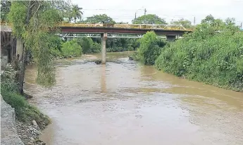  ??  ?? CAUSAL. Varios tramos de bordos en ambos lados del río Chamelecón urgen ser reforzados.