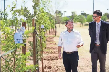  ?? PHOTOS BY PATRICK BREEN/THE REPUBLIC ?? Rep. Ruben Gallego takes a tour of recently planted trees along Baseline Road in Phoenix on Wednesday with David Hondula, director of heat response and mitigation for the city of Phoenix.