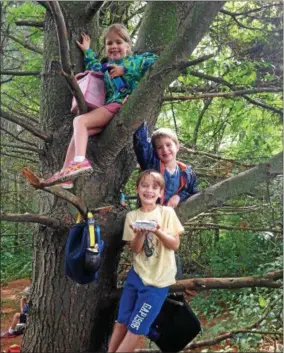  ?? PHOTO COURTESY BALTIMORE WOODS NATURE CENTER ?? Summer campers at Baltimore Woods spend their days outside exploring 182acres of nature, even finding special spots along the trail to share lunch with a friend.