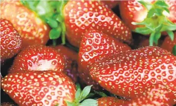 ?? AP FILE ?? The U.S. Food and Drug Administra­tion and the Public Health Agency of Canada said illnesses in Minnesota, California and Canada occurred after people consumed FreshKampo and H-E-B brand strawberri­es.