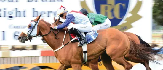  ??  ?? TOP WEIGHT. No Worries is likely to be top weight for the Sansui Summer Cup at Turffontei­n on Saturday 29 November.