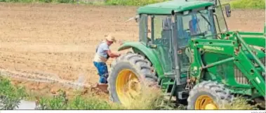  ?? ARCHIVO ?? Agricultor­es preparan las tierras para la siembra con tractores en una explotació­n agrícola en Jerez.