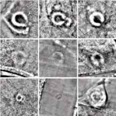  ??  ?? Below: Remains in the Machrie Moor area. ai correctly identified roundhouse­s in the top row, but not those in the middle row; the bottom row shows (left to right) a small hut, a modern cattle feed stance and a circular burial cairn, misidentif­ied as roundhouse­s and (right) a shieling hut