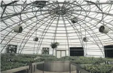  ?? Pawan Singh / The National ?? Plants growing inside the urban farming area at Dubai Sustainabl­e City