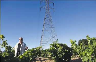  ?? Michael Short / Special to The Chronicle 2016 ?? Frank Evangelho walks through Evangelho Vineyard in Antioch last year. He has sold his 10 acres of the vineyard to Bedrock Wine. PG&E owns the rest of the site, 26 acres, and Bedrock will take on that lease.