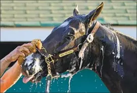  ?? Charlie Riedel Associated Press ?? ROCK YOUR WORLD, the surprise winner of the Santa Anita Derby in his first race on dirt, is the second choice to Essential Quality in the Kentucky Derby.