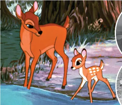 How the Nazis burned the book behind BAMBI - PressReader
