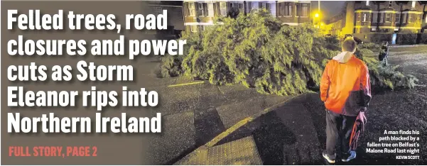  ?? KEVIN SCOTT ?? A man finds his path blocked by a fallen tree on Belfast’s Malone Road last night