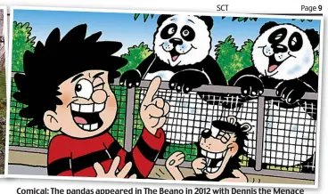  ??  ?? Comical: The pandas appeared in The Beano in 2012 with Dennis the Menace