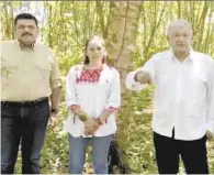  ??  ?? Anuncia. López Obrador se encuentra en Chiapas realizando “trabajo de campo” para la siembra de árboles maderables.