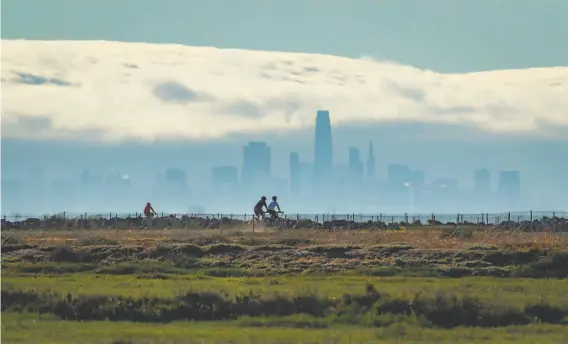  ?? Photos by Carlos Avila Gonzalez / The Chronicle ?? The city’s contingenc­y plan for climate change calls for trails at Hayward Shoreline Regional Park to be moved if rising seas threaten to submerge them.