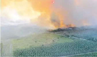  ?? SDIS 33 VIA AP ?? A wildfire near Landiras, southweste­rn France. Heat records in the region have been broken and swirling hot winds have complicate­d firefighti­ng.