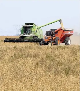  ??  ?? Monsanto a créé des semences de soja et de coton génétiquem­ent modifiées afin qu’elles résistent au dicamba, un pesticide cousin du glyphosate, également commercial­isé par l’entreprise américaine. PHOTO AFP