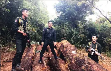  ?? SUPPLIED ?? Authoritie­s seize illegal timber hauled by Vietnamese nationals in Mondulkiri province last month. The case prompted an investigat­ion, with the Ministry of Interior agreeing to allow charges against officials implicated in aiding the illegal timber...