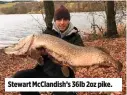  ??  ?? Stewart McClandish’s 36lb 2oz pike.