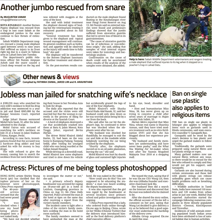  ??  ?? By MUGUNTAN VANAR vmugu@thestar.com.my Help is here: Sabah Wildlife Department veterinari­ans and rangers treating a male elephant that suffered injuries to its leg when it stepped on a poacher’s trap in Lahad Datu.