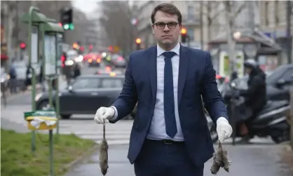  ??  ?? Geoffroy Boulard, the mayor of Paris’s 17th arrondisse­ment, decided to act after learning that a local crêche was infested with rats. Photograph: Alain Guizard