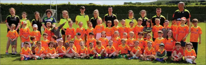  ??  ?? Coachs and children in Group One enjoying the fun and sun at the Dromtariff­e Kellogg’s GAA Cúl Camp. Photo by Sheila Fitzgerald.