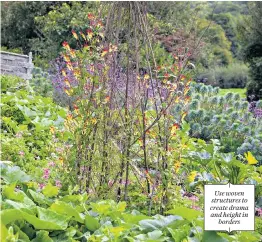  ??  ?? Use woven structures to create drama and height in borders
i Ipomoea lobata growing up a birch tepee on the vegetable bank at Sarah Raven’s Perch Hill