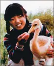  ??  ?? Xu Xiujuan, who died in 1987 while attempting to rescue a stranded bird in Zhalong’s watery marshland