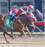  ?? FE ?? Acción en la jornada de ayer en el Hipódromo Quinto Centenario.