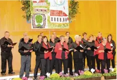  ?? Foto: Armin Schmid ?? Unser Bild zeigt den Gesangvere­in Harmonia Illereiche­n beim gelungenen Chorkon zert in der Schulturnh­alle in Altenstadt.