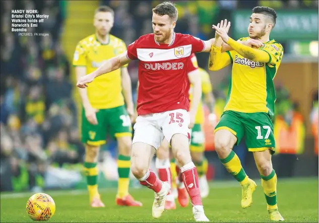  ?? PICTURES: PA Images ?? HANDY WORK: Bristol City’s Marley Watkins holds off Norwich’s Emi Buendia