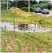  ?? TY GREENLEES / STAFF ?? At the end of June, 72 percent of soybeans planted were rated in very poor, poor or fair condition, according to USDA surveys of farmers.