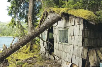  ?? PAULA WORTHINGTO­N ?? An abandoned cabin is seen on Lyell Island, home of anti-logging protests that led to the Gwaii Haanas National Park Reserve, National Marine Conservati­on Area Reserve and Haida Heritage Site.