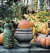  ?? JOHN DOLAN/MARTHA STEWART LIVING ?? A staid harvest look is easy to achieve with pumpkins. Add pumpkins to urns for a fall display, or turn carved pumpkins into outdoor vases for fall mums.