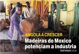  ?? LINO VENTURA ?? Produção de madeira na província do Moxico alavanca a indústria transforma­dora