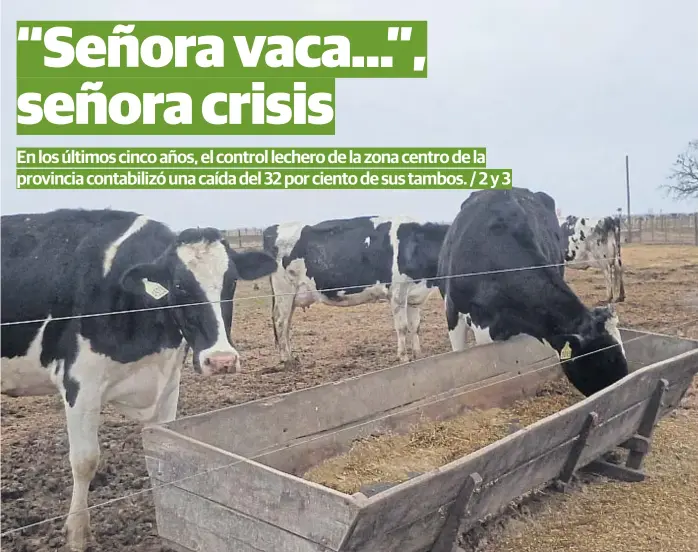  ?? (LA VOZ) ?? Escasez. El aumento de los costos y la menor dotación de forraje afectan a los tambos, según el diagnóstic­o de la Asociación Regional Centro, encargada del control lechero.