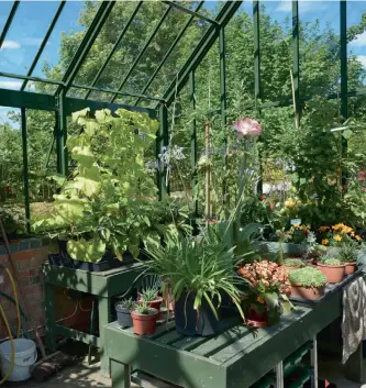  ??  ?? Opposite page: A row of central arches bring height to the walled garden. Top middle: Jackie Theaker is the head gardener at Luss Estates. Top right: Crocosmia in the herbaceous border. Bottom right: A well-stocked greenhouse overlooks the knot garden.