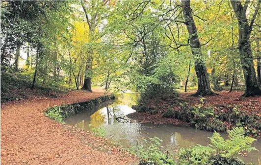  ?? ?? AUTUMN GLORY: David Forbes sent in this photograph of Kinness Burn in St Andrews showing off beautiful colours along its banks.