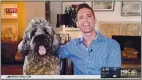  ?? NBC BAY AREA ?? Reporting from home, NBC Bcy Arec meteorolog­ist Jeff Rcnieri hcs his dog Lucy join him on cir during the e3ening ne2s.