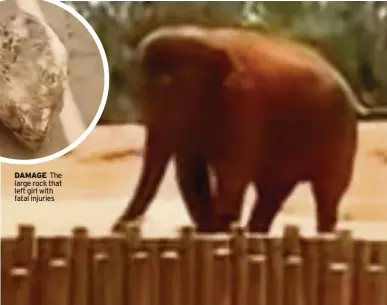  ??  ?? DAMAGE The large rock that left girl with fatal injuries FREAK ACCIDENT Four-and-a-half ton elephant Assia picked up stone in its trunk and hurled it out of the enclosure