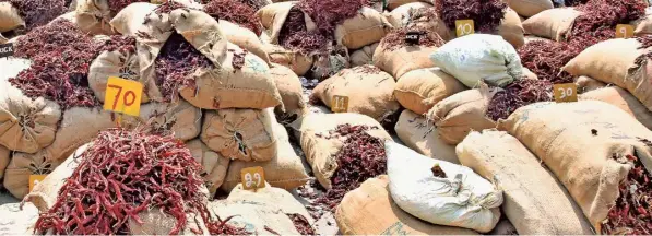  ?? SANJAY RITTI ?? Hundreds of sacks of chilli kept for e-auction at Byadgi APMC market yard.