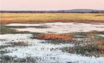  ??  ?? Acting as a natural filter of pollutants, wetlands are a feature associated with tectonic activity (South Africa courtesy of G King).