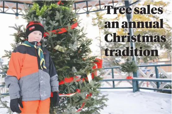  ?? [ALI WILSON / THE OBSERVER] ?? Scout Zain Wilson stands in front a decorated Christmas tree at the bandstand in Elmira’s Gore Park, where the 1st Elmira Scouts are selling Christmas Trees once again for their annual fundraiser.