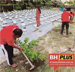  ?? [FOTO RASUL AZLI SAMAD/BH] ?? Noralizah memantau aktiviti berkebun penghuni CCSC Alor Gajah.