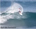  ??  ?? Surf alle Barbados