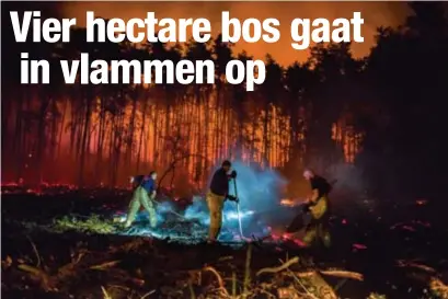  ?? FOTO TOM PALMAERS ?? De brandweer kon de vuurhaard moeilijk bereiken door het dichte bos.