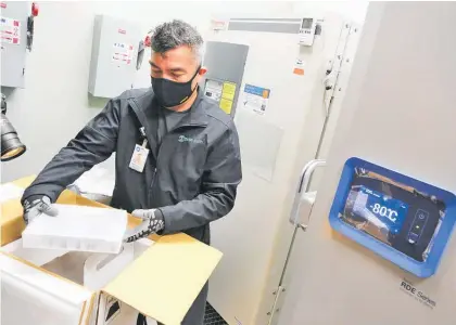  ?? Photo / The Monitor via AP ?? Gabriel Vasquez, pharmacy tech supervisor, moves boxes of the Pfizer-BioNTech Covid-19 vaccine into a specialise­d freezer as they arrived at DHR Health in Edinburg, Texas, yesterday.