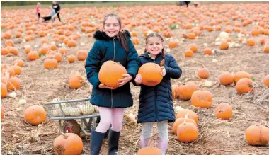  ?? ?? Teigan and Alaska Walker, aged seven and five, at Fruit Fields in Cookham. Ref:133971-8