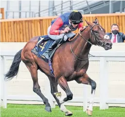  ?? Picture: Shuttersto­ck. ?? Tactical on the way to victory in the Windsor Castle Stakes on day two of Royal Ascot.