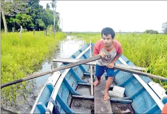  ??  ?? Juan Bautista, como él se autobautiz­ó, se abre paso entre los camalotale­s y el follaje en su canoa a remo. El joven con algunos problemas de salud es el sostén de sus abuelos.