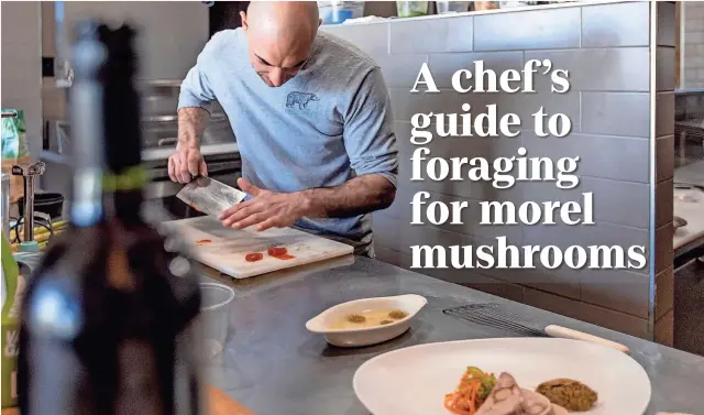  ?? JUSTIN FOX BURKS ?? Bounty on Broad chef Andrew Armstrong prepares the garnish for his Morel Mushroom and Sweetbread­s Terrine. The terrine is made with morel mushrooms he foraged in Shelby County.