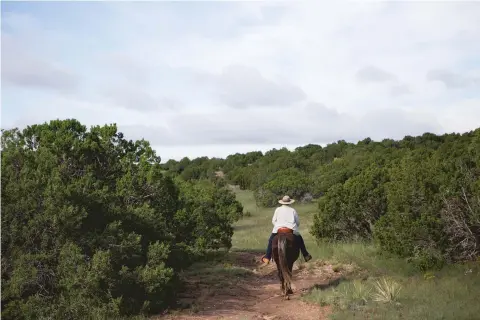  ?? PHOTOS BY OLIVIA HARLOW/THE NEW MEXICAN ?? Carolyn Hansen rides along a section of trail in Aldea de Santa Fe she’s been told she’s not allowed to use.TOP: A piece of barbed wire is tangled around cut branches on the outskirts of a trail that Hansen has been told she’s not allowed to ride. Hansen says an Aldea de Santa Fe resident or its board put barbed wire along trails to block horses, an allegation one resident strongly denies.